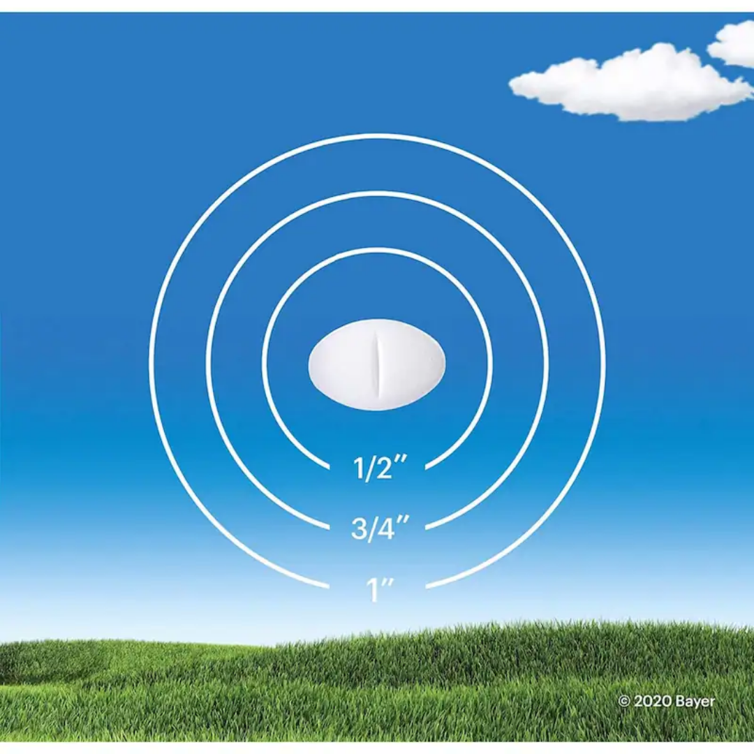 Comprimés Claritin contre les allergies - 10 mg
