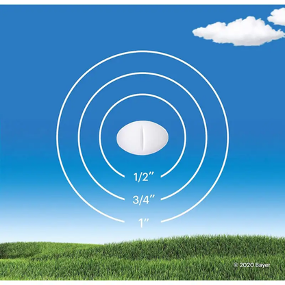 Comprimés Claritin contre les allergies - 10 mg